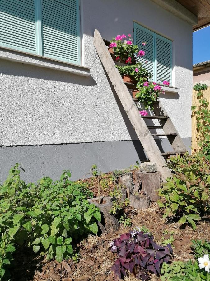 Menta Apartman Mezokovesd Exterior photo